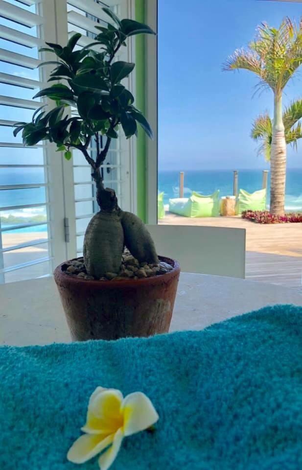 Nakai Beach Homestay Trafalgar エクステリア 写真
