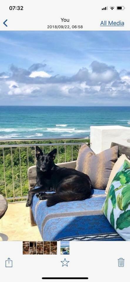 Nakai Beach Homestay Trafalgar エクステリア 写真
